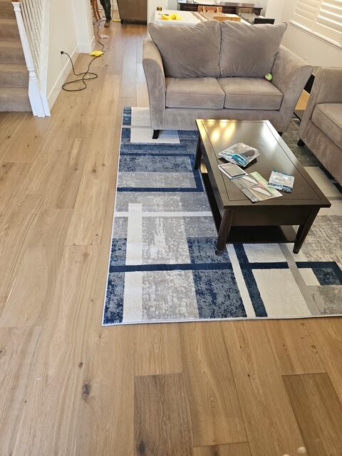 Kitchen & Living Room Remodel