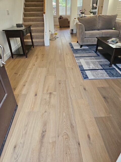 Kitchen & Living Room Remodel