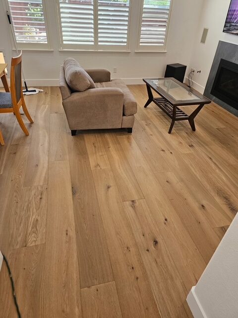 Kitchen & Living Room Remodel
