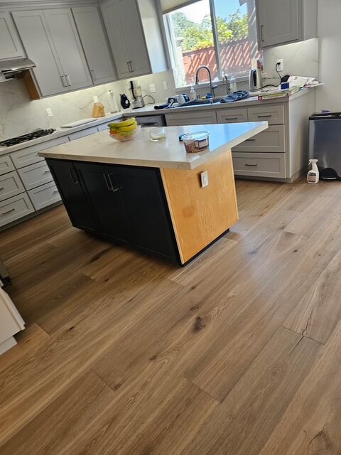 Kitchen & Living Room Remodel