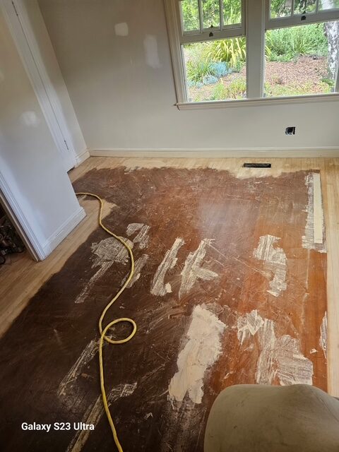 Hardwood Sand & Refinish